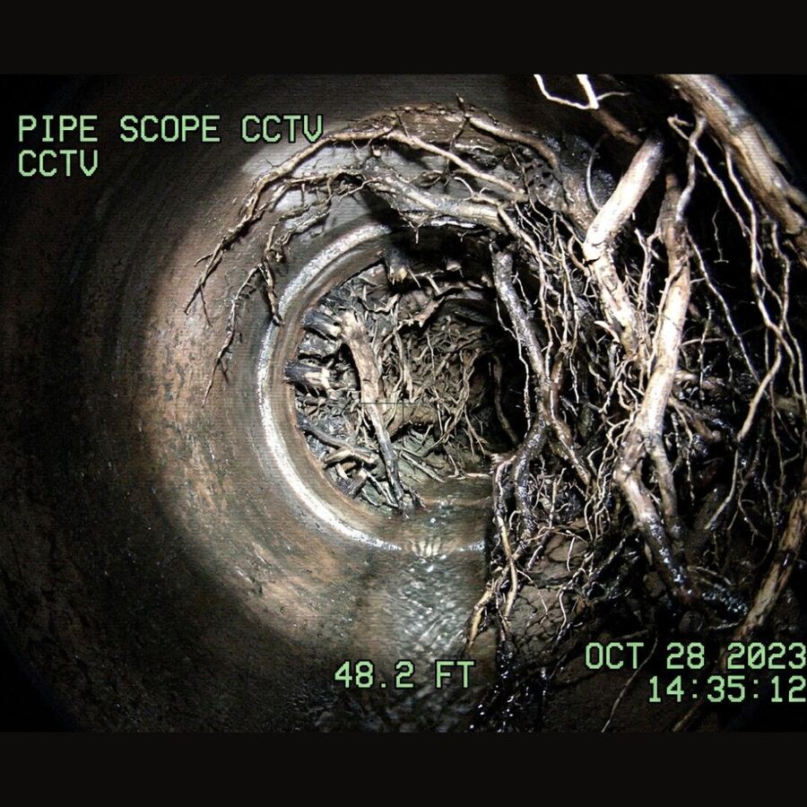 Sewer camera view of tree roots inside a pipe